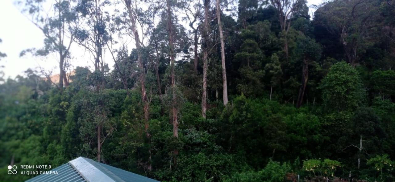 Thalagala Oya Resort & Restaurant Nuwara Eliya Kültér fotó
